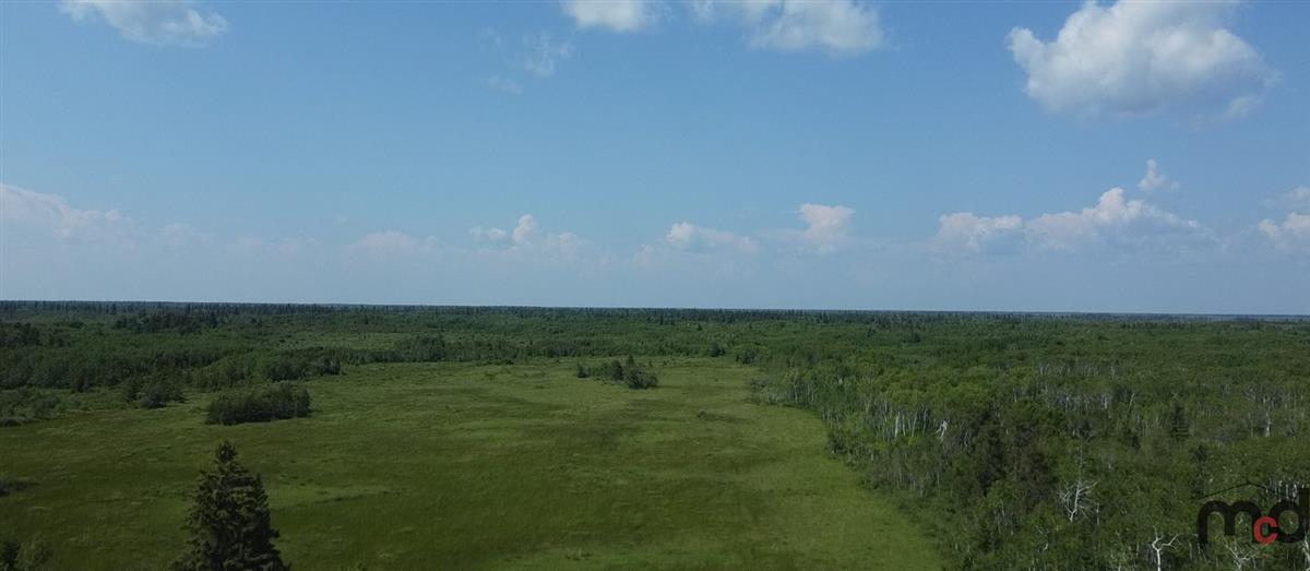 Half Section of Farm / Recreational Land RM of Grahamdale, MB Real